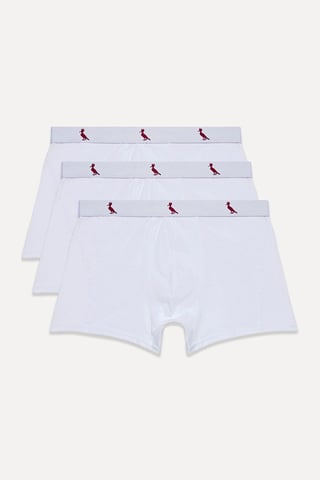 Kit 3 Cuecas Boxer Algodão